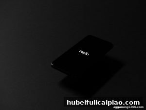 AG真人 hubeifulicaipiao